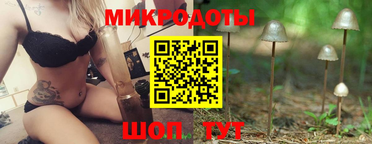 Галлюциногенные грибы прущие грибы Ульяновск
